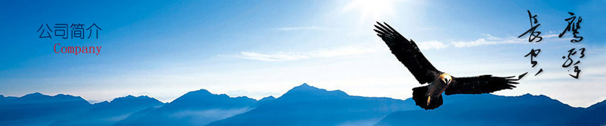 合金鋼管廠家企業(yè)簡(jiǎn)介