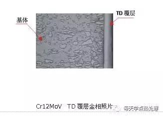 TD覆層處理組織結(jié)構(gòu).webp.jpg