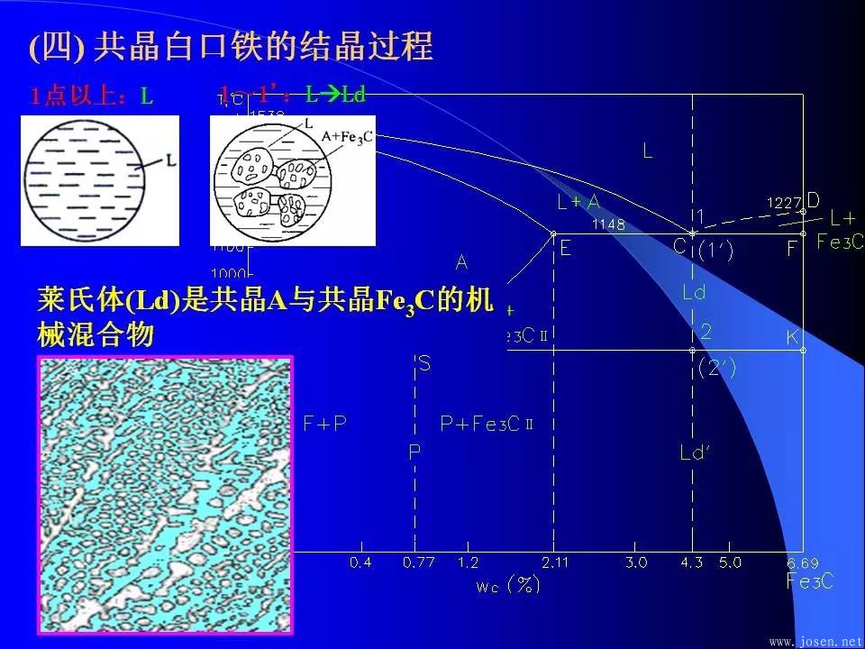 鐵碳合金相圖與結(jié)晶過程5.webp.jpg