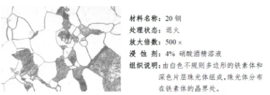 金相學(xué)與金相制樣：探索金屬微觀世界的奧秘