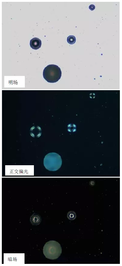 金相學(xué)與金相制樣：探索金屬微觀世界的奧秘